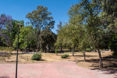 Guadalajara, Meksika 'daki Parque Independencia El Dean' de açık mavi gökyüzünün altında toprak yollar, ağaçlar ve sokak lambaları olan kuru bir arazi.