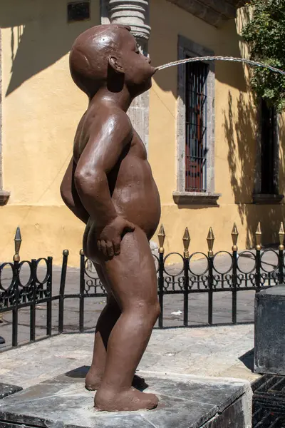 Guadalajara, Meksika - 23 Şubat 2025: Guadalajara 'da halka açık bir meydanda su fışkırtan bronz çocuk heykeli