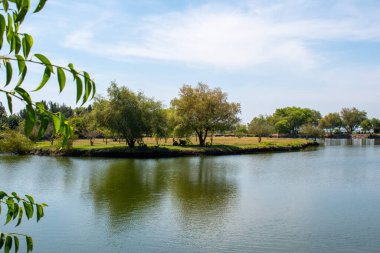 Jalisco, Jamay 'deki sakin göl suları ve yeşil ağaçlarla çevrili Xamain Adası parçalı bulutlu bir gökyüzü altında ele geçirildi.