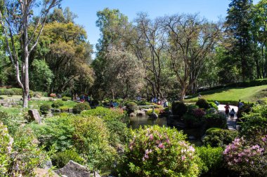 Colomos Ormanı, Guadalajara, Jalisco, Meksika 'daki göletli, çiçekli ve ziyaretçili Japon bahçesinin geniş bir sahnesi