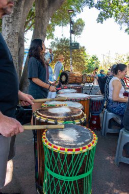 Guadalajara, Meksika - 13 Nisan 2025: Canlı bir açık hava perküsyon etkinliği veya davul çemberi sırasında ağaçların altında renkli el davullarıyla şarkı söyleyen bir grup insan