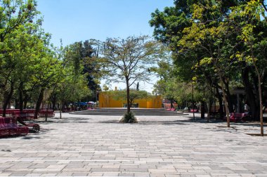 Meksika, Guadalajara 'da huzurlu bir şehir parkı olan Park Independencia El Dean' deki banklar ve ağaçlarla dolu bir ana yol.
