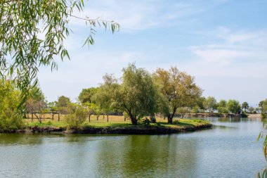 Jamay, Jalisco 'daki Xamain Adası' nın huzurlu manzarası. Mavi gökyüzünün altında yeşil ağaçlar ve sakin bir göl var.