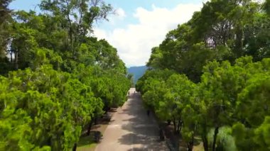 İnsansız hava aracı Huentitan Viewpoint Parkı, Guadalajara, Meksika 'da ağaçlarla kaplı güzel bir geçitte ilerliyor.