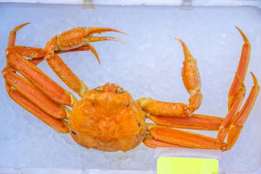 Hakodate, Hokkaido Japonya 'daki deniz ürünleri pazarında Kırmızı Kral Yengeç (Taraba yengeci) veya Alaska Kral Yengeci