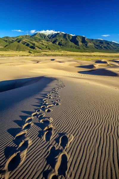 Parque Nacional Das Grandes Dunas Areia Colorado Estados Unidos — Fotografia de Stock