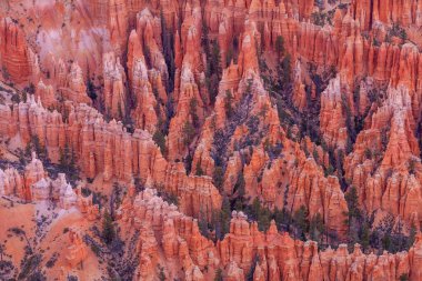 Bryce Canyon Ulusal Parkı Utah, ABD 'de doğa manzarası