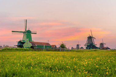 Hollanda, Amsterdam 'da günbatımında yel değirmenleri olan geleneksel bir köy.