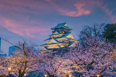 Japonya 'da kiraz çiçekleri mevsiminde gün batımında Osaka kalesinde alacakaranlık.
