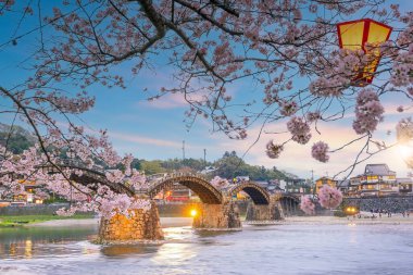 Japonya, İwakuni 'deki Kintaikyo Köprüsü. Gün batımında kiraz çiçeğiyle. 