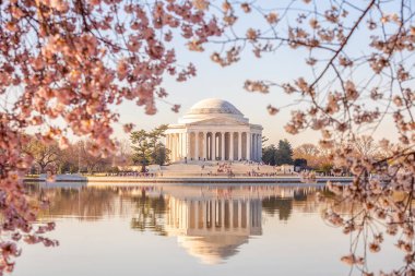 Kiraz Çiçeği Festivali 'ndeki Jefferson Anıtı. Washington, D.C. ABD 'de.