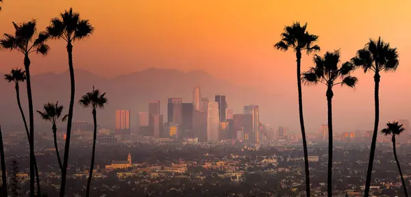 다운타운 로스앤젤레스 스카이라인 La의 — 스톡 사진
