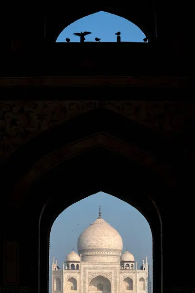 Taj Mahal Sete Maravilhas Mundo Agra Índia — Fotografia de Stock