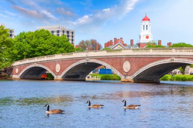 Amerika 'daki Massachusetts, Boston Charles Nehri üzerinde saat kulesi olan klasik bir köprü.