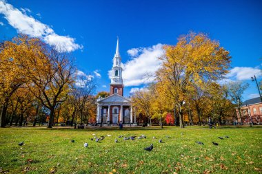 Sonbaharda ABD 'nin Connecticut şehrinin New Haven şehir merkezi gökyüzü manzarası