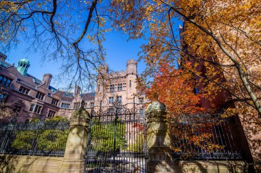 New Haven city downtown skyline cityscape of Connecticut, USA in autumn clipart