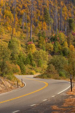 ABD 'deki Yosemite Ulusal Parkı' nın sonbaharda manzarası