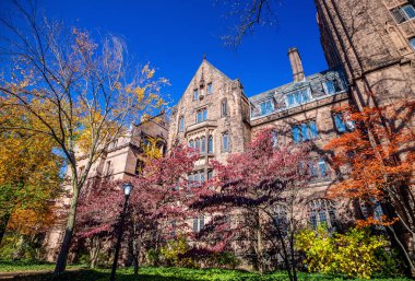 Sonbaharda ABD 'nin Connecticut şehrinin New Haven şehir merkezi gökyüzü manzarası