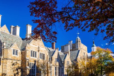 Sonbaharda ABD 'nin Connecticut şehrinin New Haven şehir merkezi gökyüzü manzarası