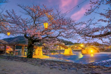 Cherry blossom at Kintaikyo bridge Iwakuni city, Japan at night clipart