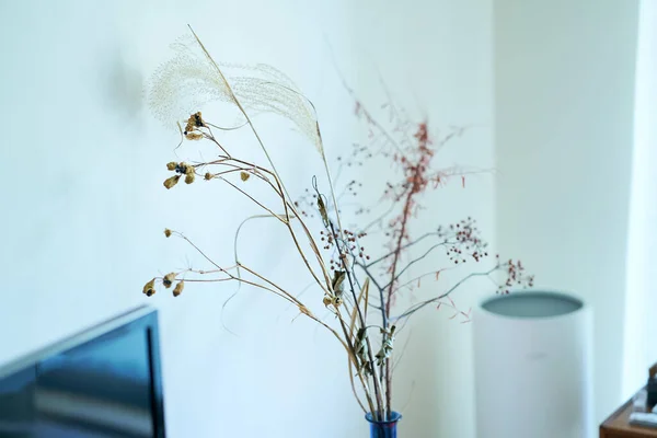 Yumuşak Işıkla Dolu Kurumuş Çiçeklerle Dolu Sessiz Bir Oda — Stok fotoğraf