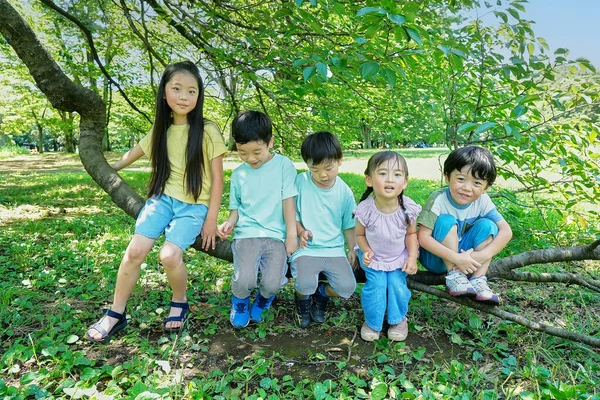 Enfants Jouant Grimpant Aux Arbres Dans Parc — Photo
