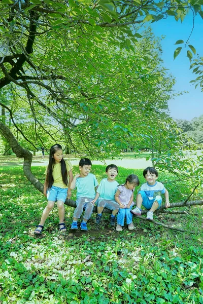 Niños Jugando Trepando Árboles Parque — Foto de Stock