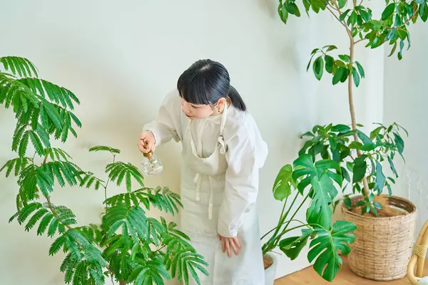 Eine Junge Frau Gießt Die Zimmerpflanzen Zimmer — Stockfoto