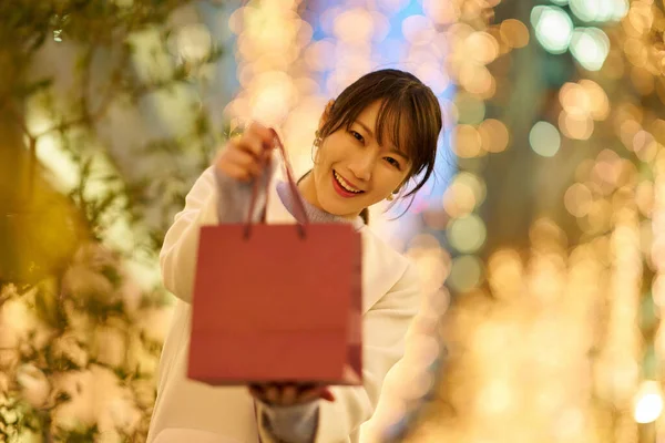 一个女人拿着纸袋 城市的风景闪烁着光芒 — 图库照片