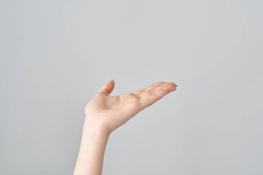 Avuç içi açık ve beyaz bir arka plan