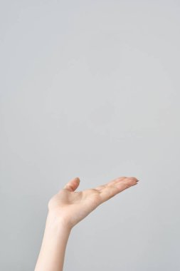 Avuç içi açık ve beyaz bir arka plan