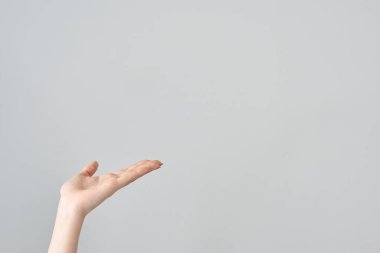 Avuç içi açık ve beyaz bir arka plan