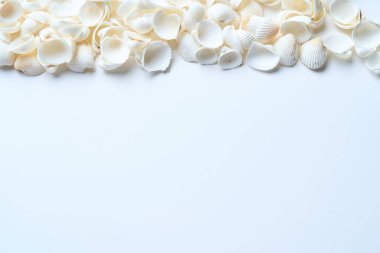 Beyaz bir masada bir sürü beyaz kabuk.