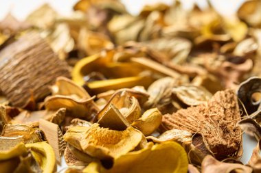 Masada bir sürü yaprak ve kozalak var.