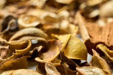 Masada bir sürü yaprak ve kozalak var.