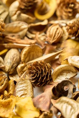 Masada bir sürü yaprak ve kozalak var.