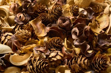 Masada bir sürü yaprak ve kozalak var.