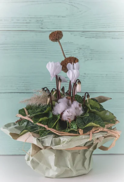 Cyclamen Mit Weißen Blüten Und Natürlicher Dekoration Hellgrüner Hintergrund Senkrecht — Stockfoto