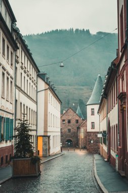 Marstall Caddesi 'nden Heidelberg, Almanya' daki tarihi Öğrenci Birliği binasına bakın.