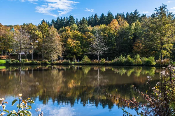 Podzimní Stromy Odrážející Vodě Jezera Modré Nebe — Stock fotografie