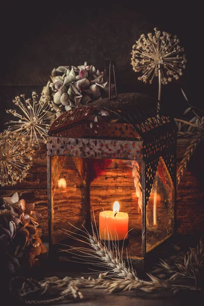 Lanterna Flores Hortênsia Secas Fundo Madeira Rústica Bela Decoração Outono — Fotografia de Stock