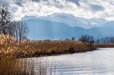 Kışın Alpler 'de Chiemsee Gölü kıyısında