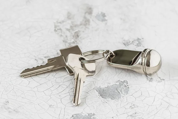 Generic Quick Release Keychain Set with Titanium Carab @ Best Price Online  | Jumia Egypt