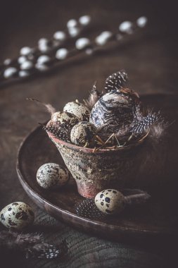 Paskalya süslemesi: Bıldırcın yumurtaları ve tüyleri olan kır çiçeği saksısı.