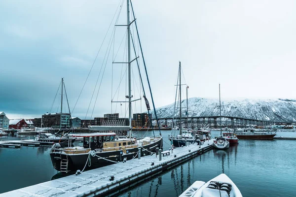 노르웨이 소항구 2022 노르웨이 마리나 돛단배를 파이어 — 스톡 사진