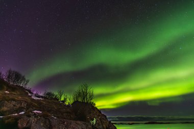 Aurora Borealis Norveç 'in Sommaroy Yarımadası üzerinde Mart ayında