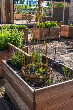 Sebze ve salata için tahta yatak dikey.