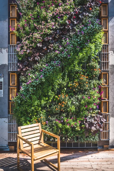 Vertical garden with flowering plants and wooden garden chair, greening concept, modern urban garden, vertical