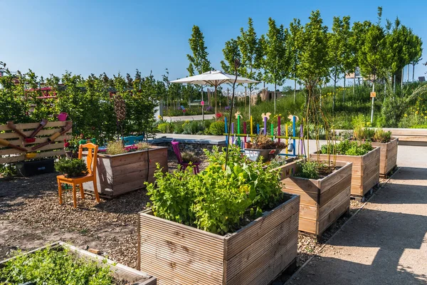 stock image Wooden raised beds for vegetables and salad