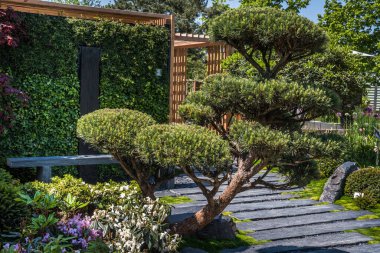 Kabuk gübresi, yerel bitkiler ve ahşap verandalı tahta yolu olan Japon bahçesi. Bahçe düzenleme ve bahçe düzenleme konsepti.